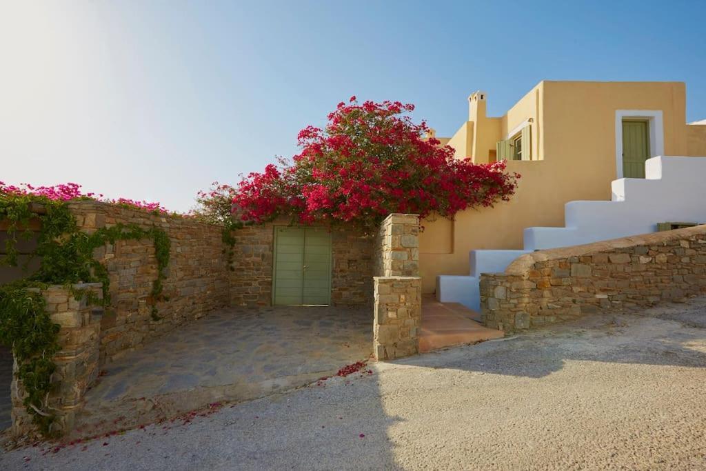 Ochre Dream, Beach Front & Sunset Villa Naousa Exterior foto