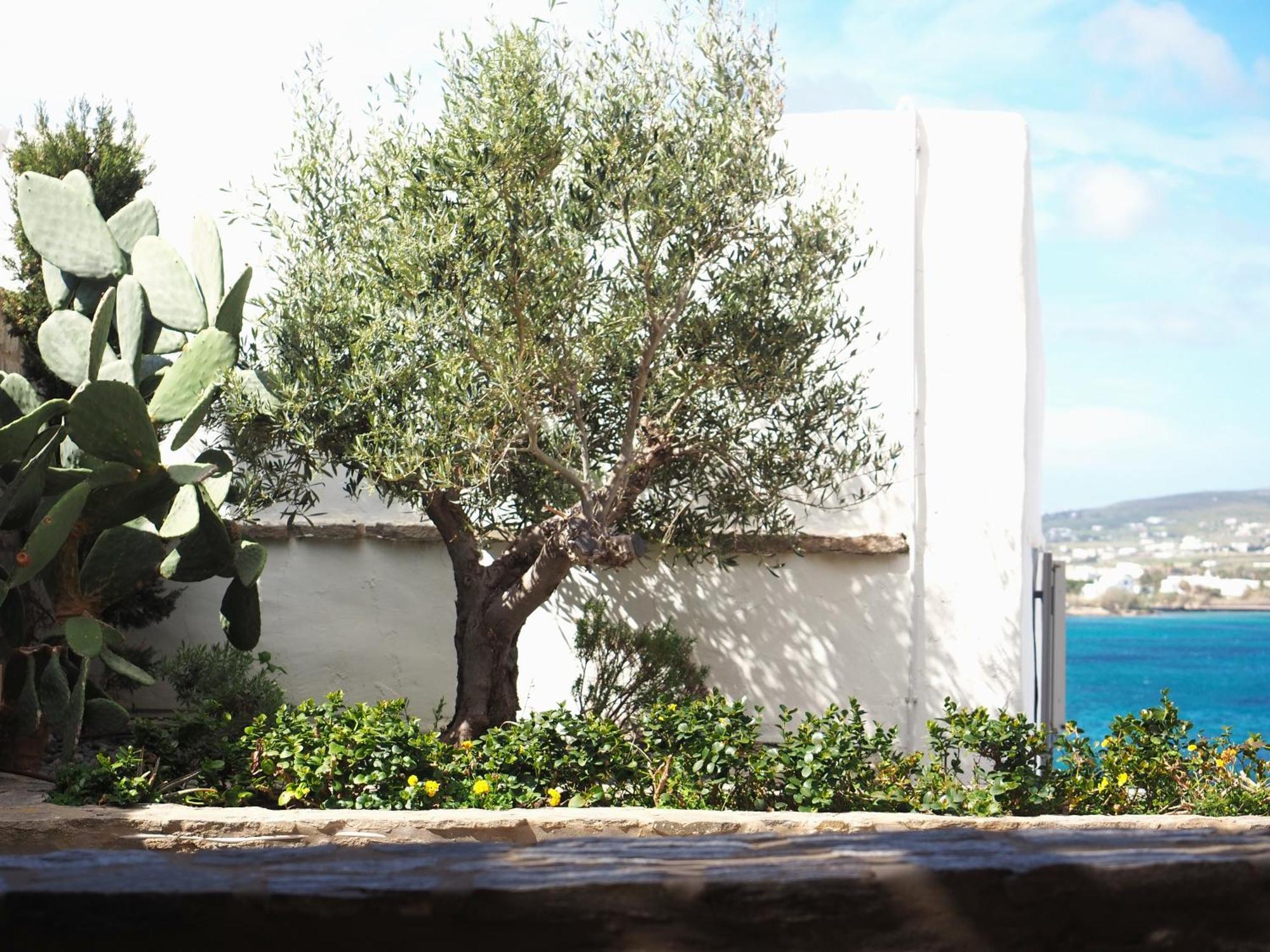 Ochre Dream, Beach Front & Sunset Villa Naousa Zimmer foto
